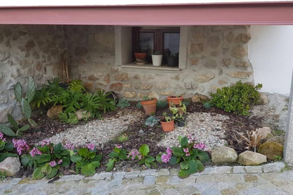 Casa Bento Moura Portugal Villa Moimenta da Serra Dış mekan fotoğraf
