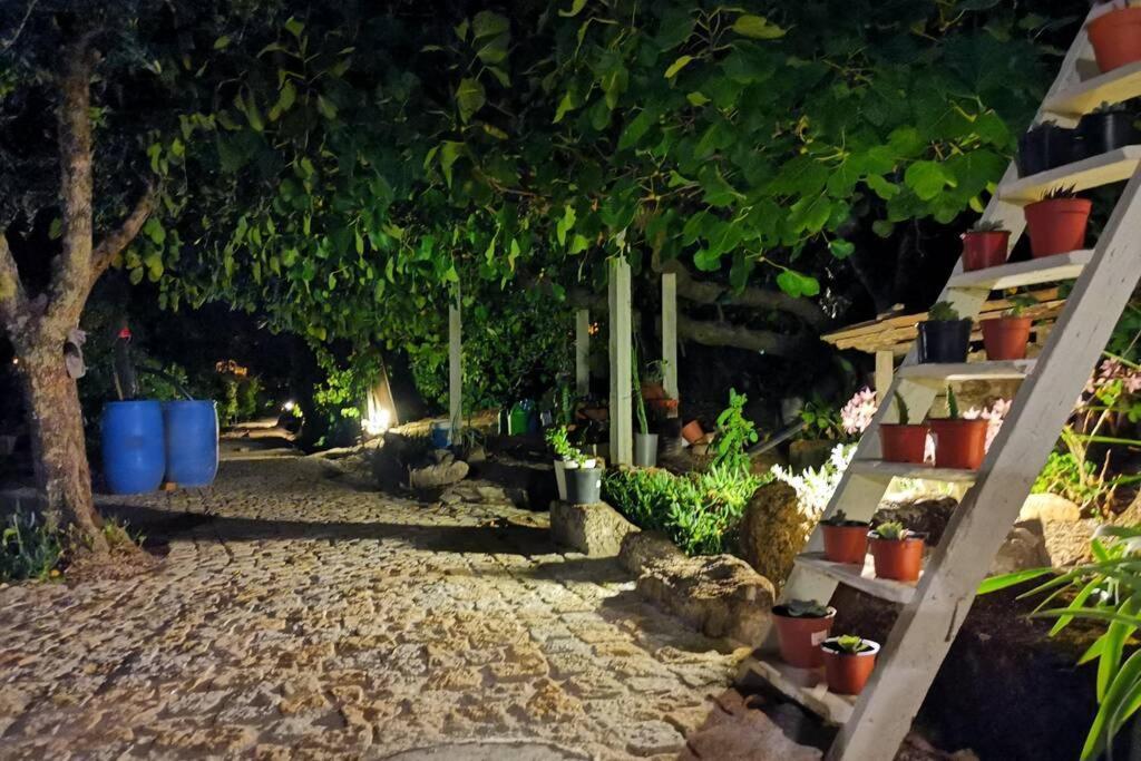 Casa Bento Moura Portugal Villa Moimenta da Serra Dış mekan fotoğraf